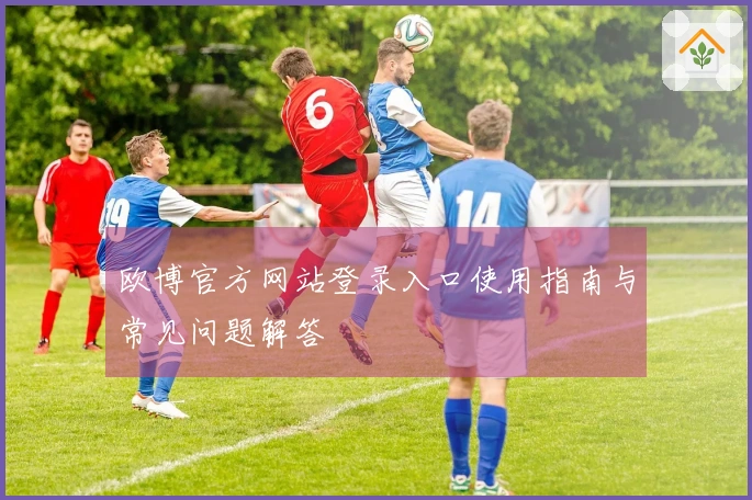 欧博官方网站登录入口使用指南与常见问题解答