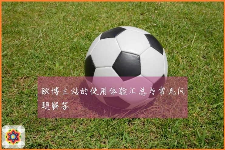 欧博主站的使用体验汇总与常见问题解答