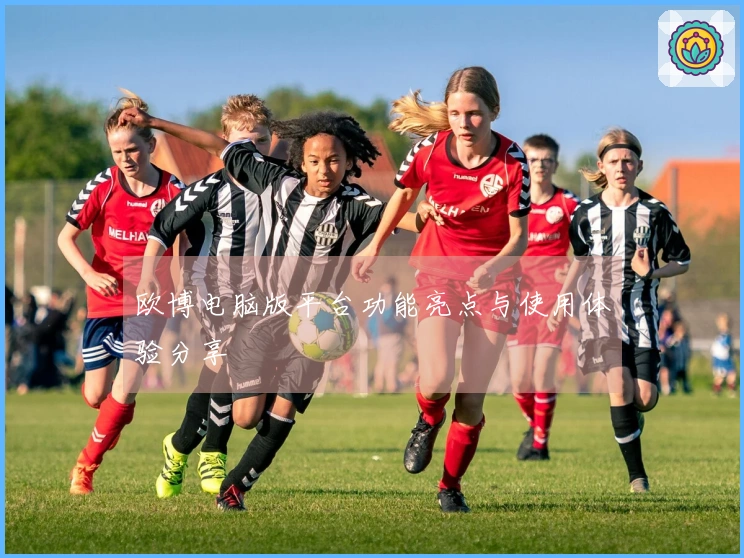 欧博电脑版平台功能亮点与使用体验分享