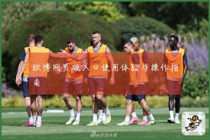 欧博网页版入口使用体验与操作指南