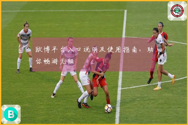欧博平台入口说明及使用指南，助你畅游无阻