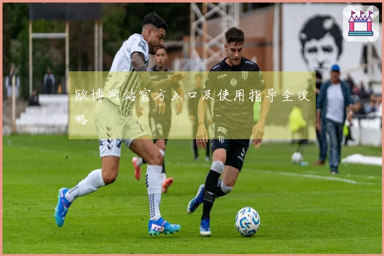 欧博网站官方入口及使用指导全攻略